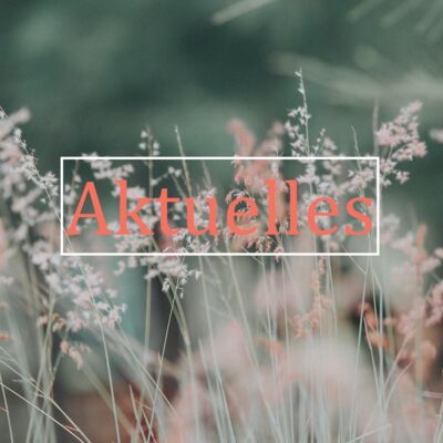 Aktuelles